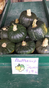 Squash